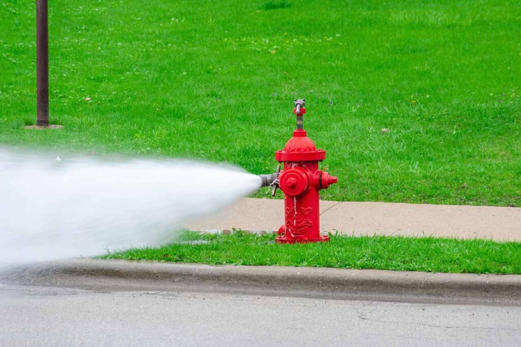 Szkolenie z użycia instalacji ppoż. np. hydrantu